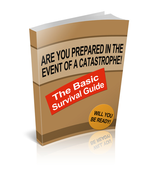 Product picture The Basic Survival Guide 
