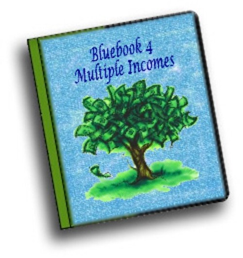 Product picture Blue Book Multiple